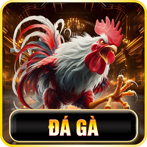 98 win-da-ga
